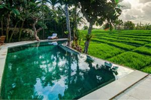 Villa di Bali Sewa Tahunan