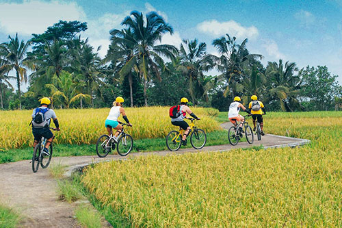 Aktivitas Wisata Bersepeda di Bali