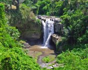 Air Terjun Tegenungan Ubud Bali Ide Wisata Sehari di Ubud