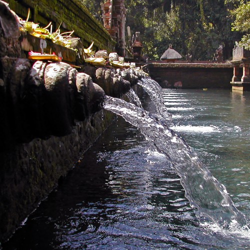 Paket Tour di Bali ke Pura Tirta Empul di Ubud