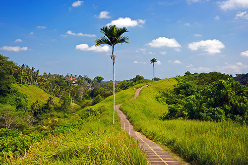 Informasi Wisata Bukit Campuhan Ubud Bali