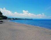 Panduan Wisata Lovina di Bali Utara