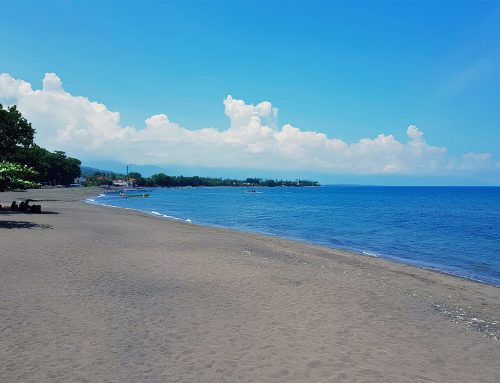 Panduan Wisata Lovina: Surga Tersembunyi di Bali Utara yang Wajib Kamu Tahu
