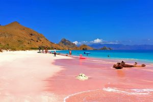 Pantai Pink Lombok